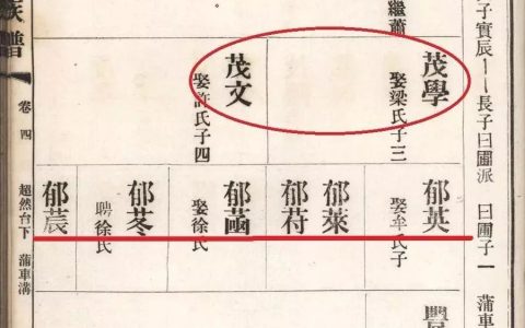 籍和藉解释（籍和藉怎么区别）