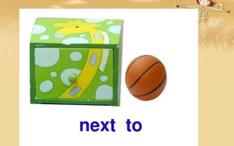next to是什么意思(next to和near的区别)