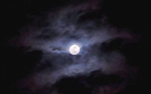 夜黑风高和月黑风高有什么区别？