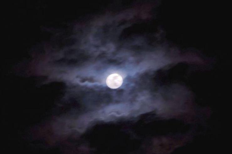 夜黑风高和月黑风高有什么区别？