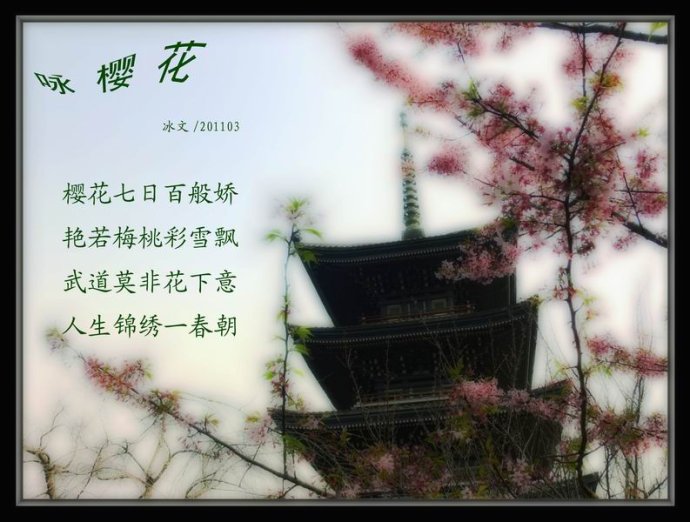 形容樱花的诗句（形容樱花的唯美句子）