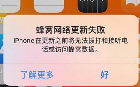 蜂窝数据已经打开了为什么没有网？