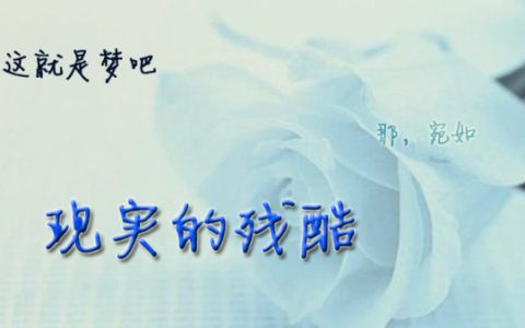 现实很骨感的上一句是什么（现实很残酷的经典语录）
