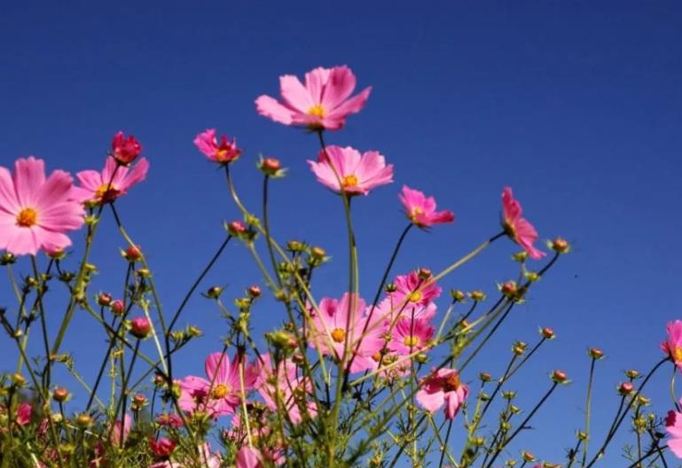 8月是什么季节？