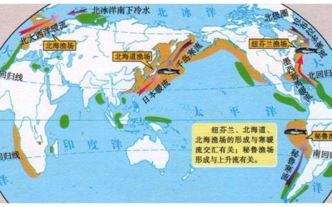 北海渔场的形成原因（北海渔场如何形成）