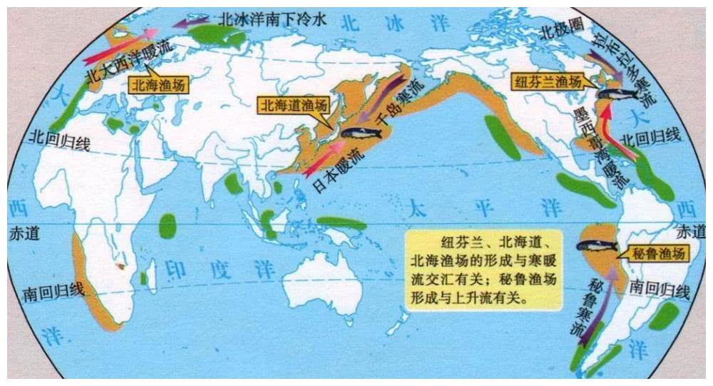 北海渔场的形成原因（北海渔场如何形成）