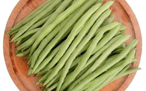 四季豆是什么（四季豆中毒如何预防）