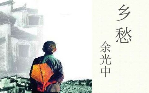 乡愁的唯美句子（乡愁句子经典语录）