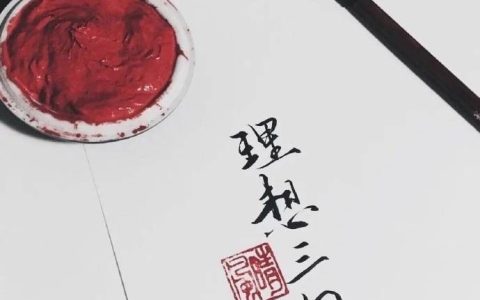 关于理想的优美句子（描写理想的优美句子）