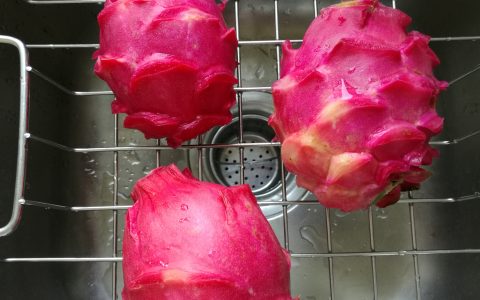 火龙果要放冰箱冷藏吗（火龙果最佳保存方法）