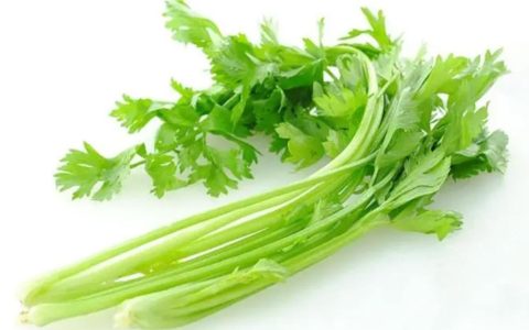 不长肉的食物有哪些?好吃不长肉的食物