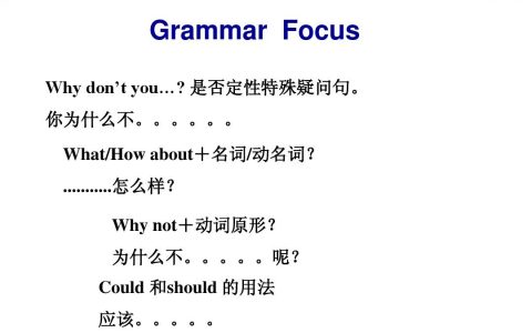 why not后面加什么（why not和why don't的区别）
