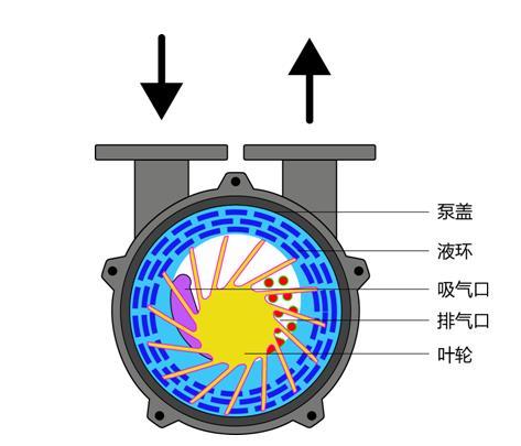 真空泵工作原理及作用（真空泵是什麼）