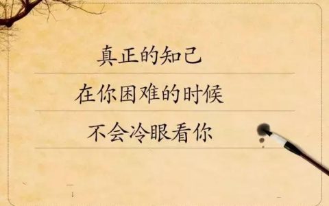 知己难求的经典语录(知音难寻的名言名句)