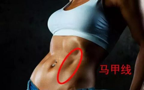 马甲线在哪个位置（马甲线是在哪）