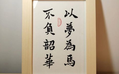 不负韶华以梦为马什么意思