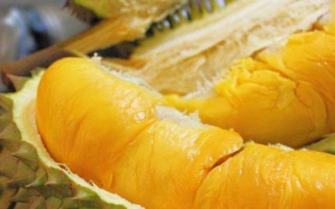 榴莲存放时间是多少天？榴莲储存方法
