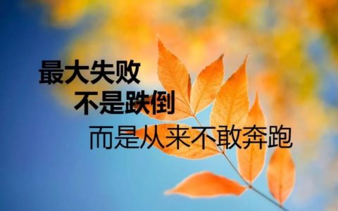 格局大气经典语句（高格局的精辟句子）