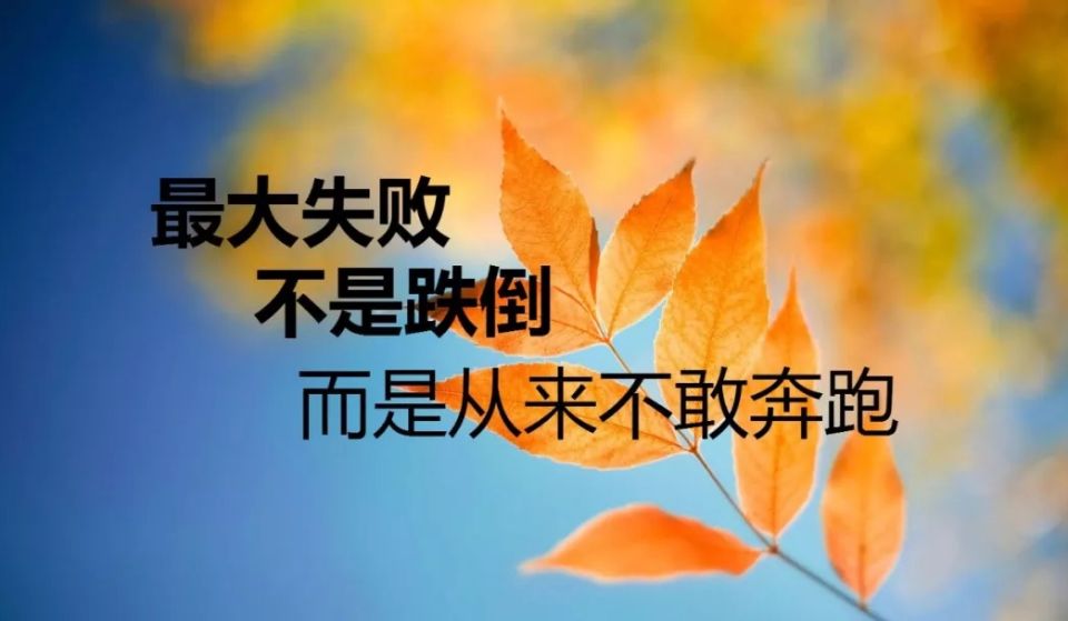 格局大气经典语句（高格局的精辟句子）