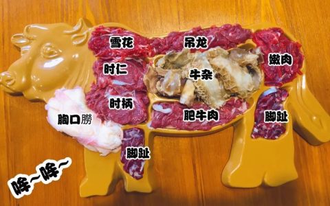 雪花肉在牛身上哪个部位（雪花肉的牛是什么牛）