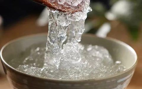 雪燕是什么树的分泌物（雪燕是什么做的）