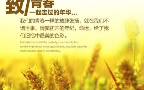 青春寄语唯美短句（致青春寄语唯美句子）