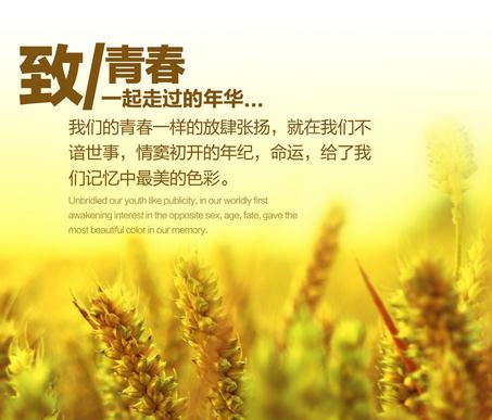 青春寄语唯美短句（致青春寄语唯美句子）