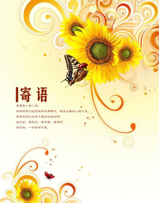 青春寄语唯美短句（致青春寄语唯美句子）