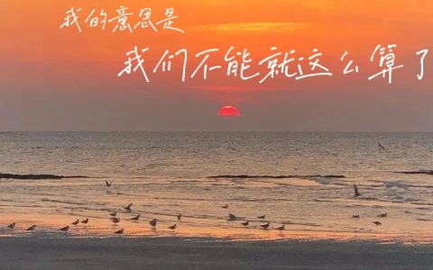 顶峰相见励志句子(顶峰相见文案高级)