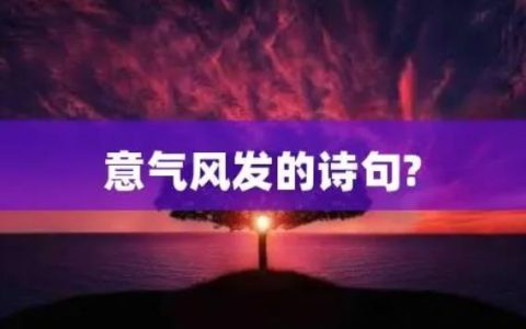 形容少年意气风发的诗句有哪些？