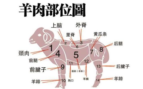 羊上脑是什么部位？羊上脑的营养价值