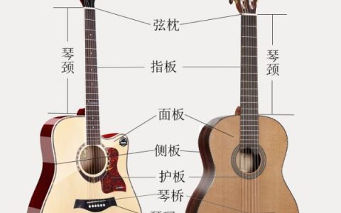 吉他的种类和区别(吉他种类有哪些)