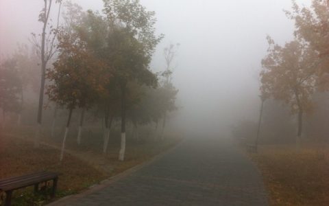 雾霾的意思(雾霾基本含义)