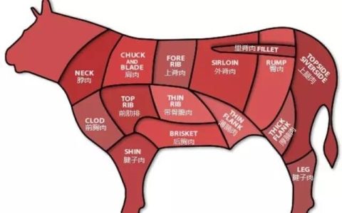 牛里脊肉是哪个部位（牛里脊长什么样）