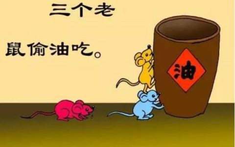 老鼠的危害