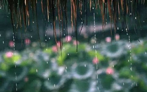 梅雨季节什么时候开始（梅雨季几月份开始）