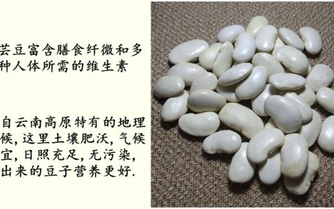 白芸豆和白扁豆的区别