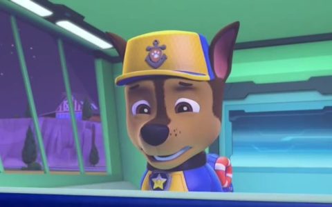 汪汪队队长叫什么名字(汪汪队里面队长叫什么)