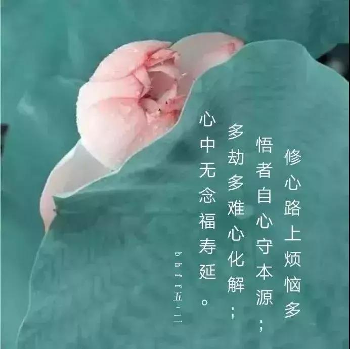 修身养性的句子经典语录（修身养性的经典句子）