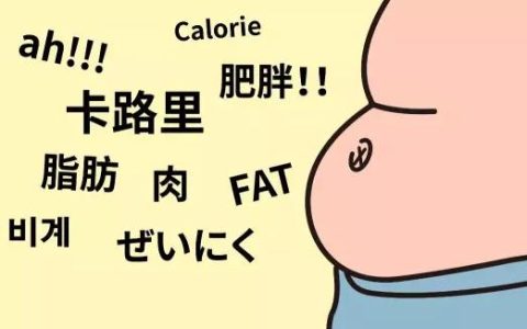卡路里怎么算（食品热量计算）