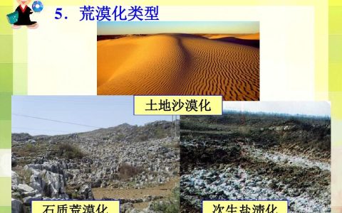 土地荒漠化的原因（造成土地荒漠化的原因）