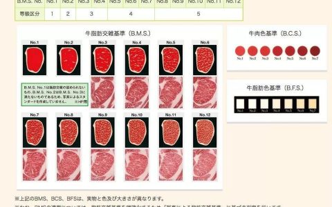 日本和牛等级(和牛等级怎么区分)