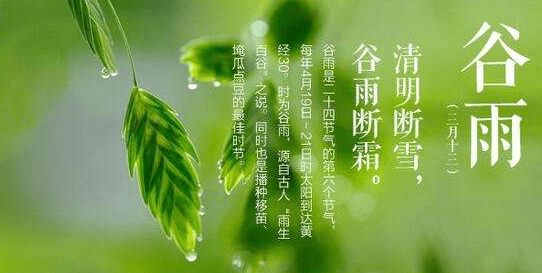 谷雨经典语录（谷雨节气经典谚语）