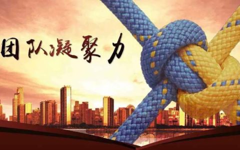 10条精选，凝心聚力团结共进的句子?