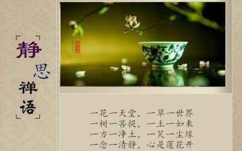 佛家禅语静心的句子（一句禅语道尽人生）