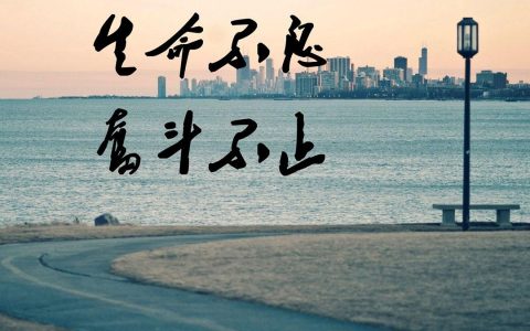 党的奋斗史名言简短（党的奋斗格言）