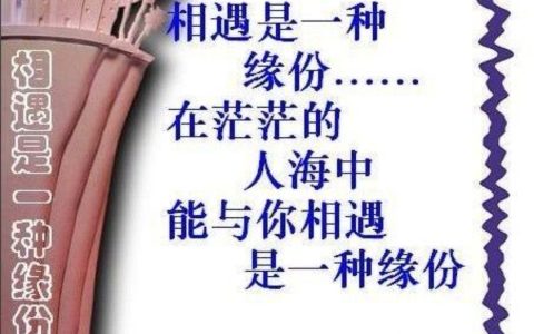 相识是缘分的经典语录（相遇即是缘分的经典句子）