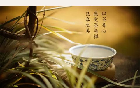 一日一茶的经典句子(一日一茶与茶相伴)