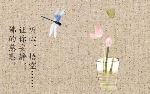 禅语静心的短句子（简短禅语静心的句子）