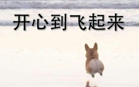 形容开心的幽默短句（最美心情幽默搞笑句子）